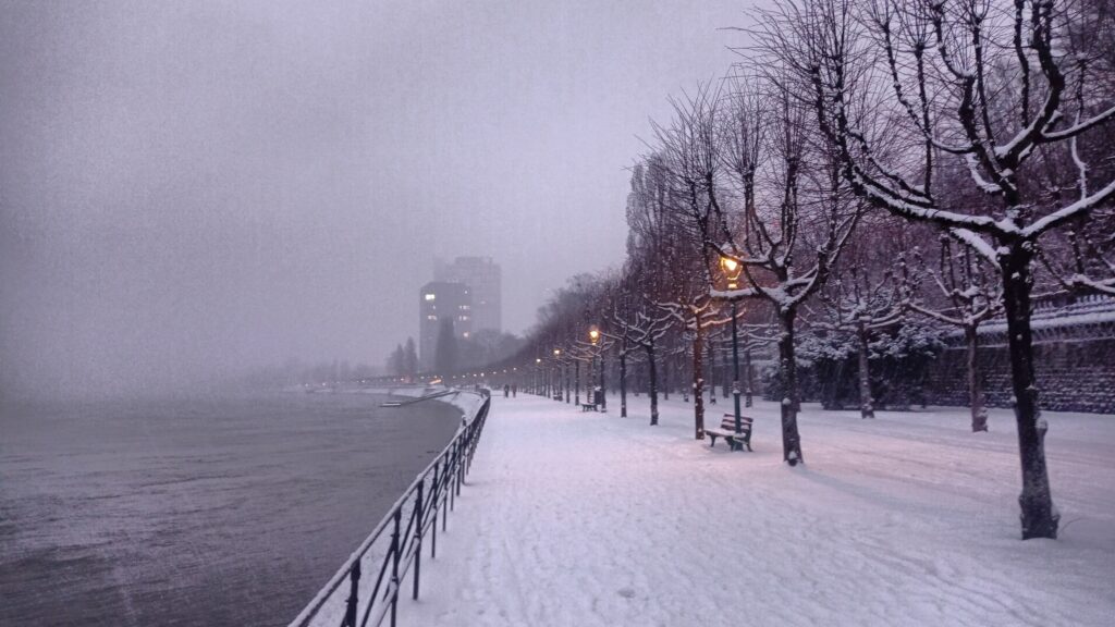 Winterliche Rheinuferpromenade in Bonn